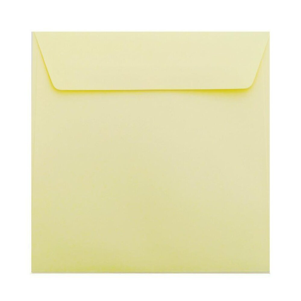 Deli 73928-8K oil pastel paper 220g (20 sheets/bag)