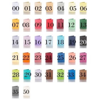 Farbwahl - Pack 25 Faltkarten 50 x 75 mm 240 g/qm