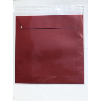 100 pieces - cellophane bags, cellophane sleeves, cellophane bags Format: 9,06 x 9,06 in