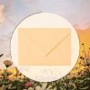 Envelopes 5,51 x 7,48 in in gold-yellow with a triangular flap in 120 g / m²