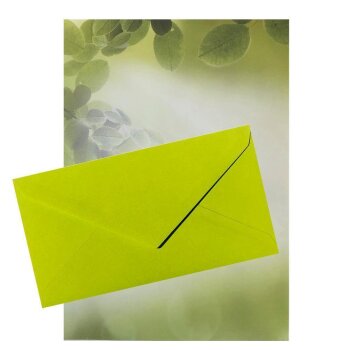 100 teiliges Briefpapier Set für Erwachsene Blätter mit Briefumschlägen, edel, DIN A4 Papier und farblich passenden Umschläge DIN lang ohne Fenster als Geschenk für Geburtstag, Hochzeit