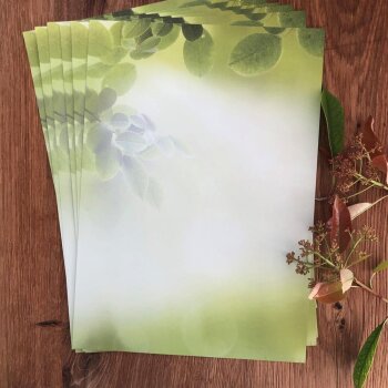 100 teiliges Briefpapier Set für Erwachsene Blätter mit Briefumschlägen, edel, DIN A4 Papier und farblich passenden Umschläge DIN lang ohne Fenster als Geschenk für Geburtstag, Hochzeit