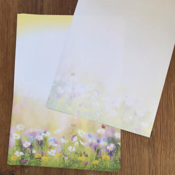 200 teiliges Briefpapier Set für Erwachsene Blumenwiese mit Briefumschlägen, edel, DIN A4 Papier und farblich passenden Umschläge DIN lang ohne Fenster als Geschenk für Geburtstag, Hochzeit