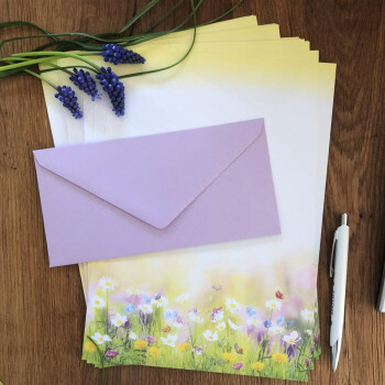 20 teiliges Briefpapier Set für Erwachsene Blumenwiese mit Briefumschlägen, edel, DIN A4 Papier und farblich passenden Umschläge DIN lang ohne Fenster als Geschenk für Geburtstag, Hochzeit