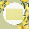 25 Envelopes DIN B6 (4.92 x 6.93 in) pressure-sensitive adhesive 120 g / qm yellow