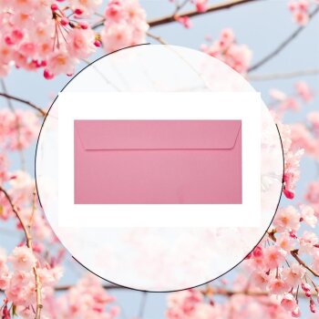 25 DIN long envelopes with adhesive strips (without window) 4.33 x 8.66 in light pink