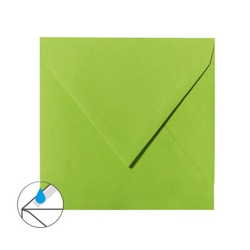 Square envelopes 4,33 x 4,33 in grass green with...