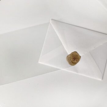 Klappenbeutel Cellophantütchen, Cellophanhüllen BioBag 100% kompostierbare Cellophanhüllen 135x180 100 Stück