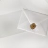 Klappenbeutel Cellophantütchen, Cellophanhüllen BioBag 100% kompostierbare Cellophanhüllen 135x180 100 Stück