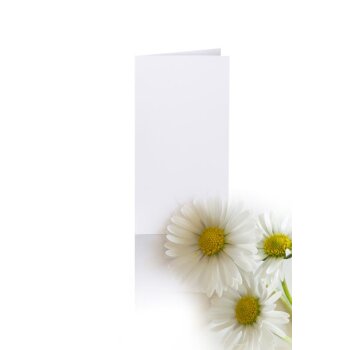 Faltkarten 10x20 cm - Weiß für DIN lang