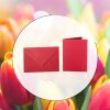 coloured envelopes B6 + folded cards 12x17 cm  red