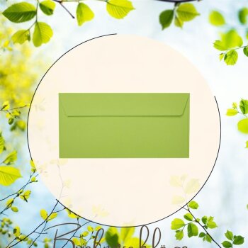 25 enveloppes DIN longues avec bandes adhésives (sans fenêtre) 11x22 cm vert pomme