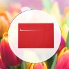 25 Envelopes DIN B6 (4.92 x 6.93 in) pressure-sensitive adhesive 120 g / sqm red